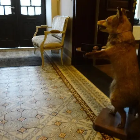 게스트하우스 La Maison De Maitre Arbrefontaine